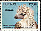 Philippine Eagle Pithecophaga jefferyi