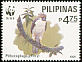 Philippine Eagle Pithecophaga jefferyi  1991 WWF 