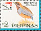 Whiskered Pitta Erythropitta kochi