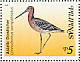Asian Dowitcher Limnodromus semipalmatus  1999 Migratory birds Sheet
