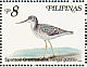 Nordmann's Greenshank Tringa guttifer