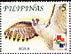 Philippine Eagle Pithecophaga jefferyi