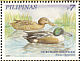 Northern Shoveler Spatula clypeata  2007 Ducks Sheet