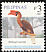 Rufous Hornbill Buceros hydrocorax  2007 Birds 