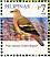 Pink-necked Green Pigeon Treron vernans  2008 Taipei 2008 Sheet