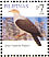 Grey Imperial Pigeon Ducula pickeringii  2008 Taipei 2008 Sheet