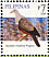 Spotted Imperial Pigeon Ducula carola  2008 Taipei 2008 Sheet