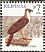 Philippine Eagle Pithecophaga jefferyi  2008 Taipei 2008 Sheet