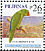 Blue-backed Parrot Tanygnathus everetti  2008 Birds 