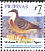 Mindanao Bleeding-heart Gallicolumba crinigera  2008 Birds, stamps with blue bottom line 
