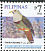 Black-chinned Fruit Dove Ptilinopus leclancheri  2008 Birds, stamps with blue bottom line 