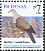 Spotted Imperial Pigeon Ducula carola  2008 Birds, stamps with blue bottom line 