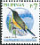 Apo Sunbird Aethopyga boltoni  2009 Birds 