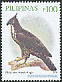 Philippine Hawk-Eagle Nisaetus philippensis  2009 Birds 
