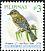Turquoise Flycatcher Eumyias panayensis  2009 Birds 