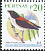 Cebu Flowerpecker Dicaeum quadricolor  2009 Birds 