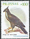 Philippine Hawk-Eagle Nisaetus philippensis  2009 Birds 