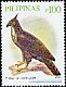 Philippine Hawk-Eagle Nisaetus philippensis