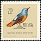 Common Rock Thrush Monticola saxatilis  1960 Birds 