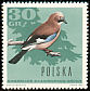 Eurasian Jay Garrulus glandarius  1966 Woodland birds 