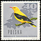 Eurasian Golden Oriole Oriolus oriolus  1966 Woodland birds 