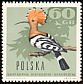 Eurasian Hoopoe Upupa epops