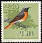 Common Redstart Phoenicurus phoenicurus