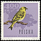 Eurasian Siskin Spinus spinus  1966 Woodland birds 