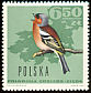 Eurasian Chaffinch Fringilla coelebs  1966 Woodland birds 