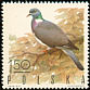 Common Wood Pigeon Columba palumbus  1970 Game birds 