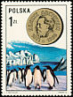 Adelie Penguin Pygoscelis adeliae