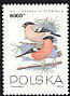 Eurasian Bullfinch Pyrrhula pyrrhula  1993 Birds 