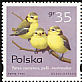 Eurasian Blue Tit Cyanistes caeruleus  1995 Birds 