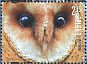 Western Barn Owl Tyto alba