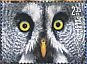 Great Grey Owl Strix nebulosa  2015 Owls Sheet