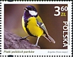 Great Tit Parus major  2022 Birds of Polish parks 