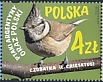 Crested Tit Lophophanes cristatus