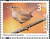 Eurasian Wren Troglodytes troglodytes  2024 Birds of Polish parks 