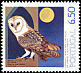 Western Barn Owl Tyto alba