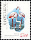 Greater Flamingo Phoenicopterus roseus