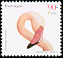 Greater Flamingo Phoenicopterus roseus  2000 Birds of Portugal 