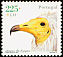Egyptian Vulture Neophron percnopterus  2001 Birds of Portugal 