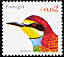 European Bee-eater Merops apiaster  2002 Birds of Portugal 