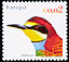 European Bee-eater Merops apiaster