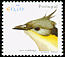 Great Spotted Cuckoo Clamator glandarius  2002 Birds of Portugal 