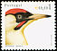 European Green Woodpecker Picus viridis  2003 Birds of Portugal 