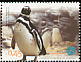 Magellanic Penguin Spheniscus magellanicus  2004 Lisbon Oceanarium 6v set