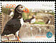 Atlantic Puffin Fratercula arctica  2004 Lisbon Oceanarium 6v set