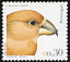 Red Crossbill Loxia curvirostra  2004 Birds of Portugal 