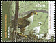 Bonelli's Eagle Aquila fasciata  2007 Tapada de Mafra 5v set